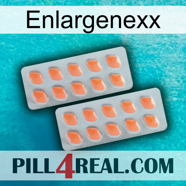 Enlargenexx 27.jpg